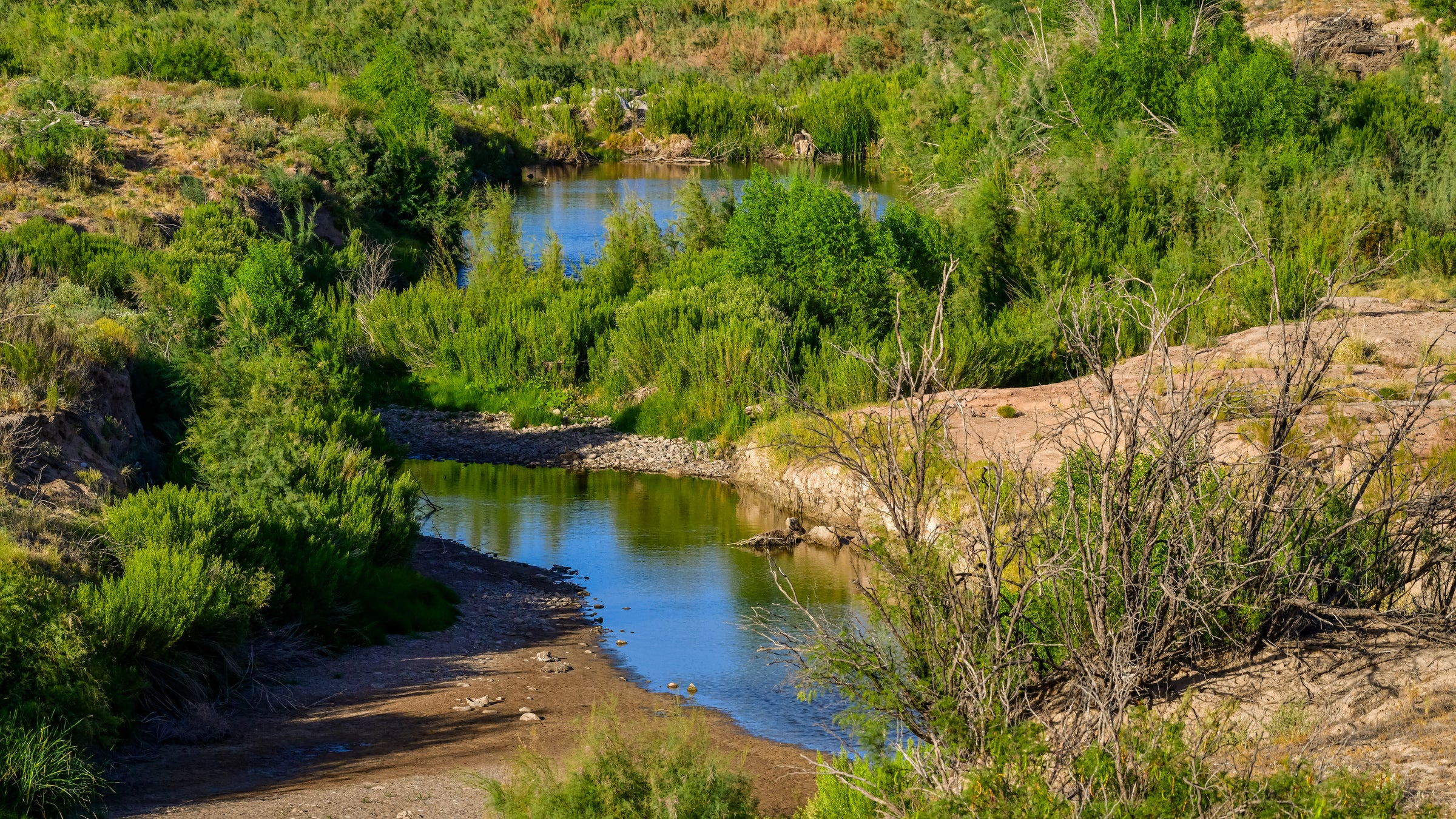 Lush greenery along two rivers in a desert landscape.
